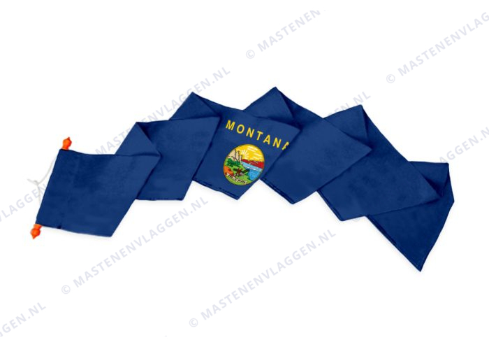 Wimpel Montana