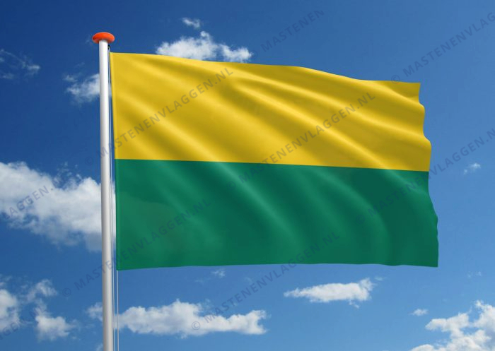 Vlag Den Haag