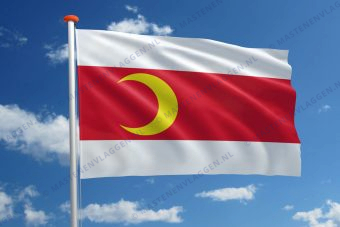 Vlag Doesburg