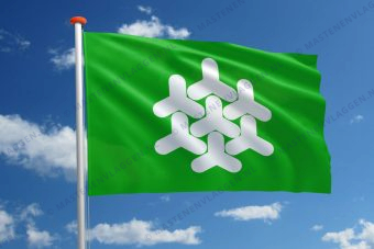 Vlag Dronten