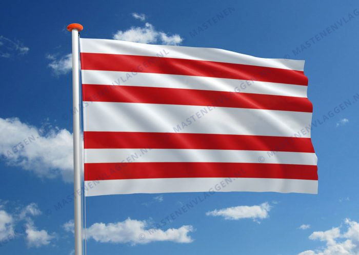 Vlag Gorinchem