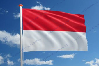 Vlag van Monaca