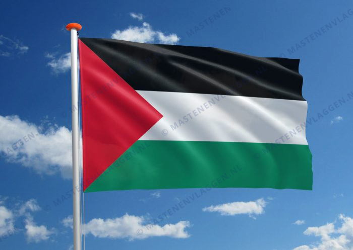 Vlag Palestina