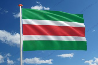 Dorpsvlag Garijp
