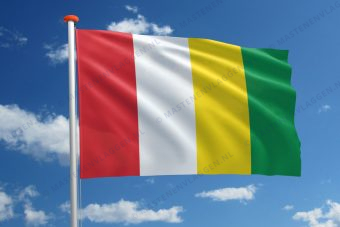 Dorpsvlag Markelo