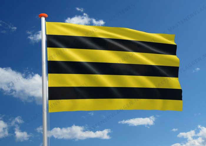 Dorpsvlag Meerkerk