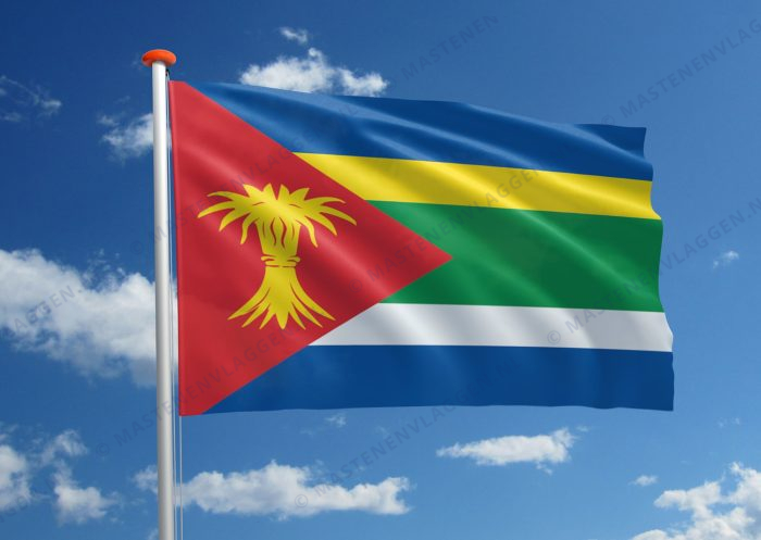 Dorpsvlag Minnertsga