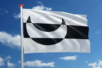 Dorpsvlag Monster