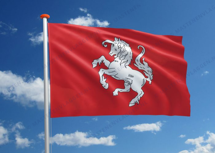 Streekvlag Twente