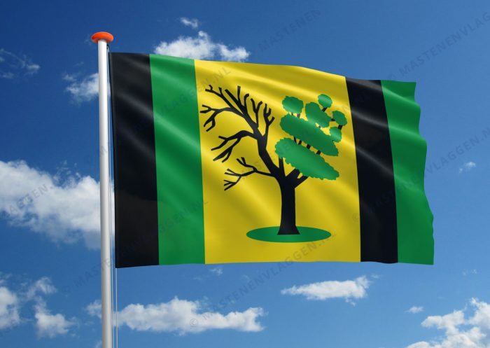 Dorpsvlag Hauwert