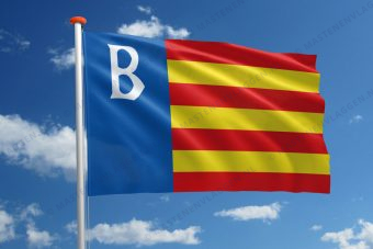 Dorpsvlag Brongerga