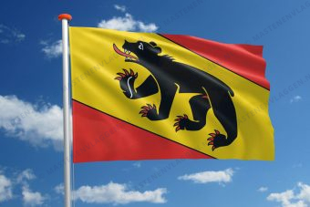 Vlag Bern