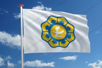 Vlag Nicosia