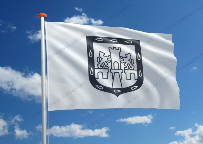 Vlag Mexico-Stad