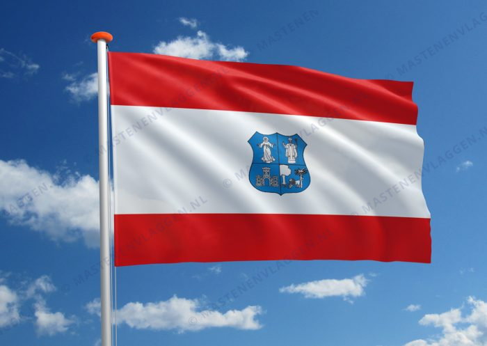 Vlag Asunción