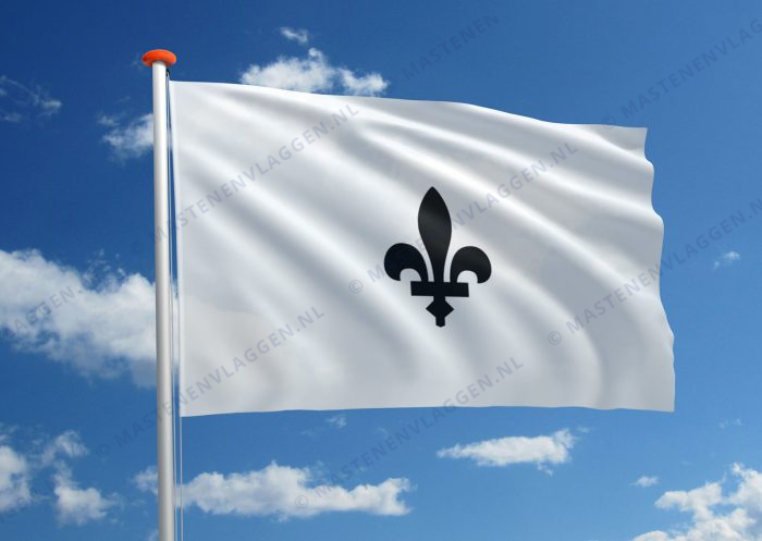 Vlag Aarschot