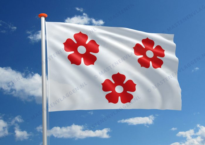 Vlag Ardooie