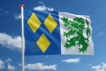 Vlag De Panne