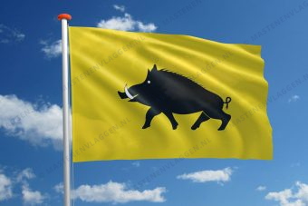 Vlag Evergem