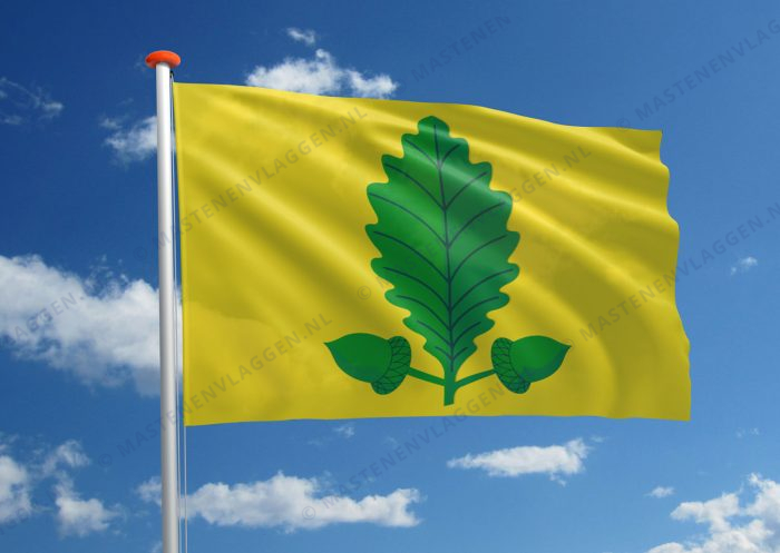 Vlag Heusden-Zolder