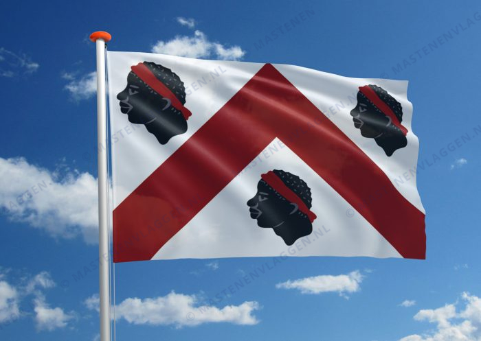 Vlag Lennik