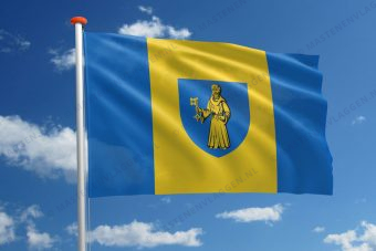 Vlag Lille