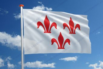 Vlag Rotselaar