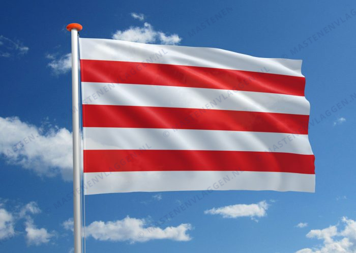 Vlag Sint-Lievens-Houtem