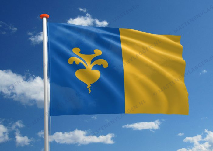 Vlag Sint-Niklaas