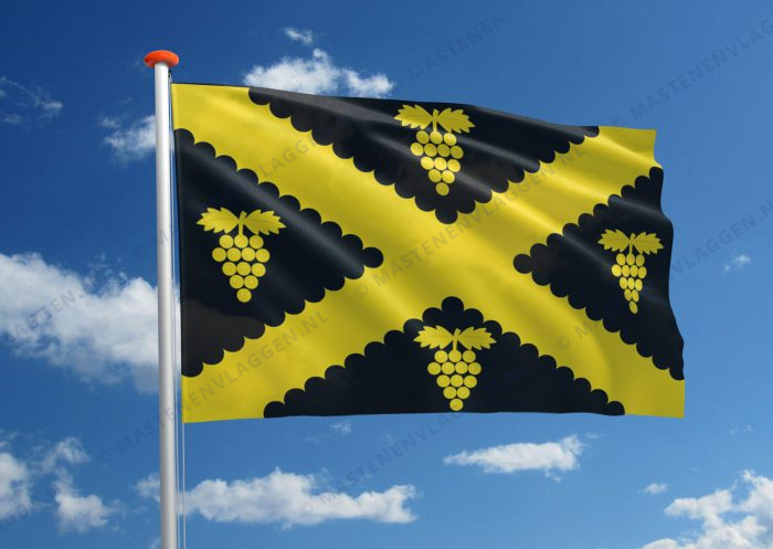 Vlag Wijnegem