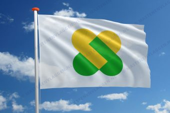 Streekvlag Champagne-Ardenne