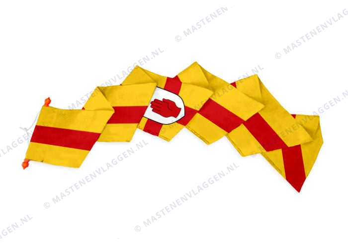 Streekwimpel Ulster