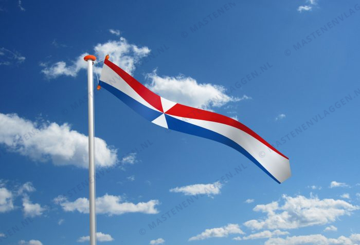 Geuzenvlag wimpel