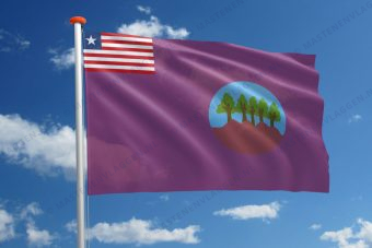 Streekvlag Bomi