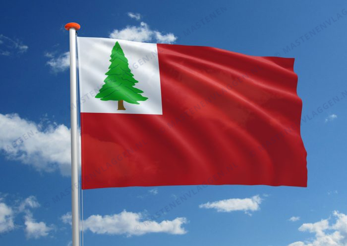 Streekvlag Lincoln