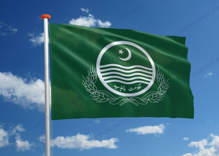 Streekvlag Punjab