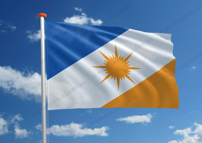 Streekvlag Tocantins