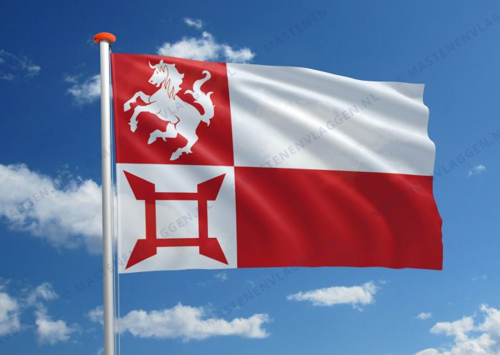 Dorpsvlag Norg