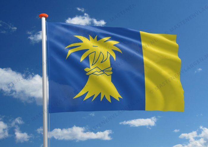 Dorpsvlag Reduzum