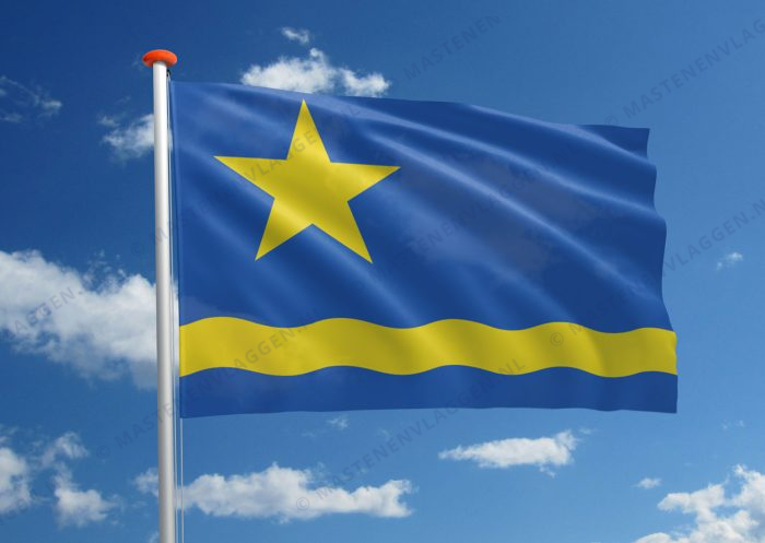 Dorpsvlag Scharnegoutum