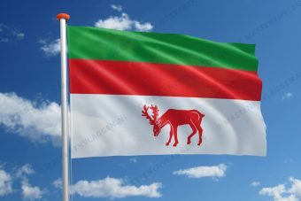 Dorpsvlag Stompwijk
