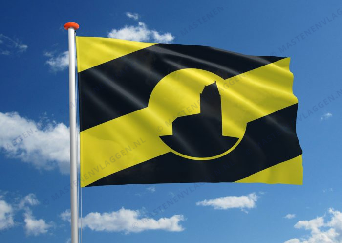 Dorpsvlag Stiens