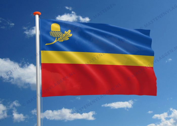 Vlag Waalre
