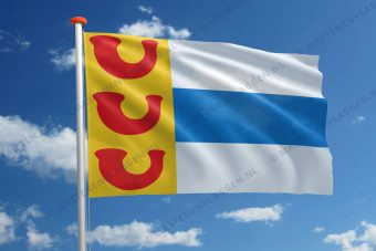 Vlag Weert