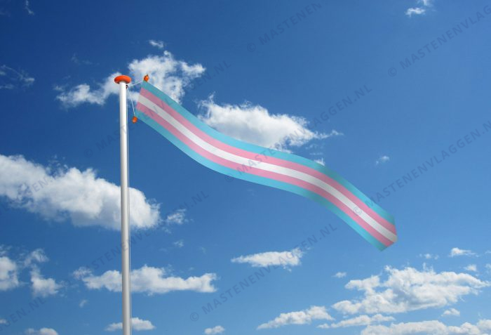 Wimpel transgender