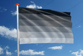 Hetero vlag