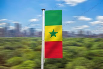 Senegalese banier
