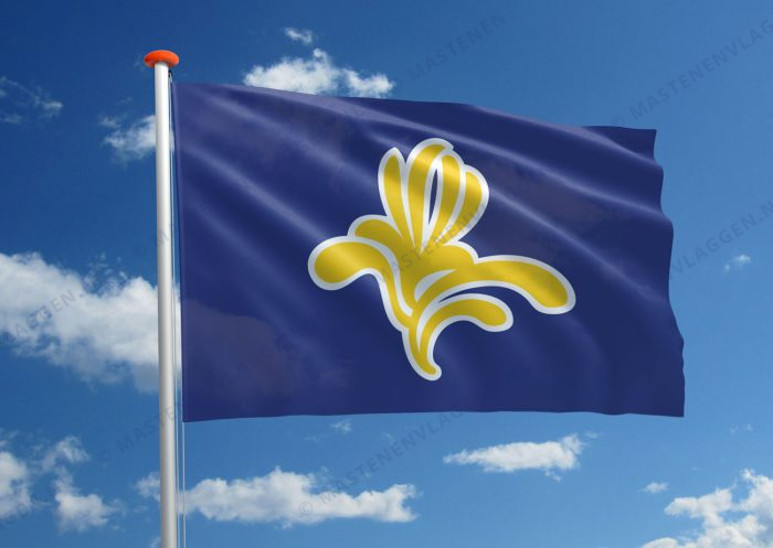 Vlag Stedelijk Brussel Oud