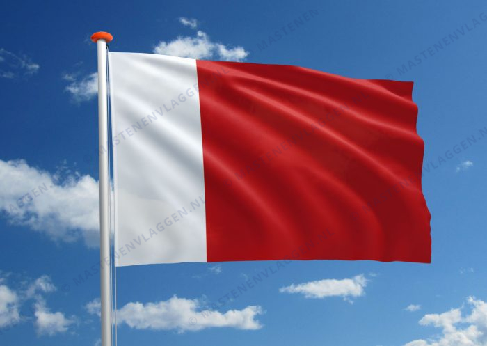 Vlag Dubai