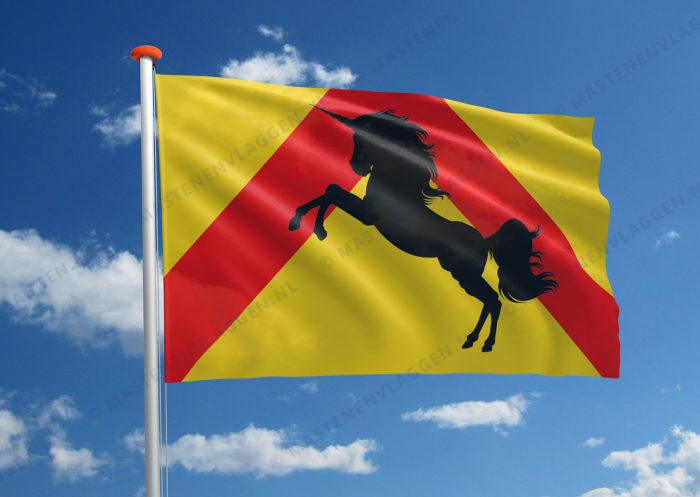 Dorpsvlag Bakkum